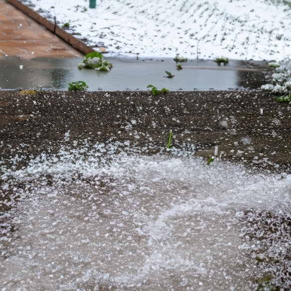 Hail on a residential roof system.